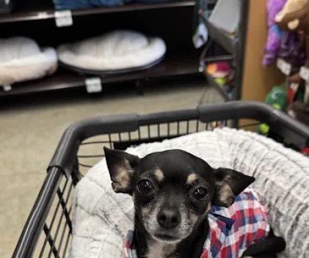 Petco