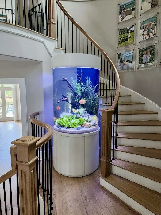 Fish Gallery Boutique | Aquarium Superstore Picture 2