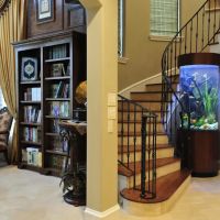 Fish Gallery Boutique | Aquarium Superstore ico