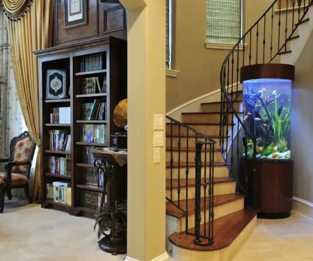Fish Gallery Boutique | Aquarium Superstore