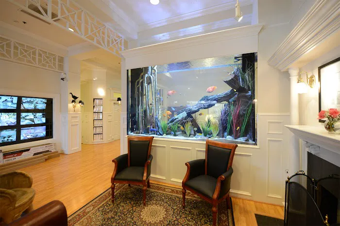 Fish Gallery Boutique | Aquarium Superstore Picture 4