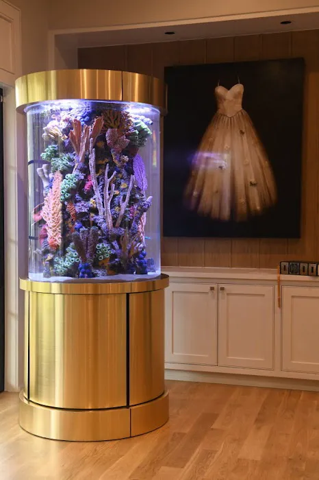 Fish Gallery Boutique | Aquarium Superstore Picture 6