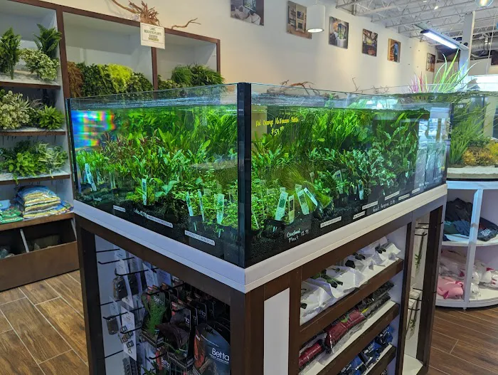 Fish Gallery Boutique | Aquarium Superstore Picture 5