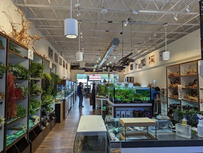 Fish Gallery Boutique | Aquarium Superstore Picture 8