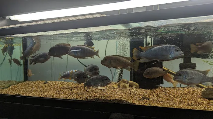 Fish Gallery Boutique | Aquarium Superstore Picture 10