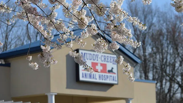 Muddy Creek Animal Hospital Picture 1