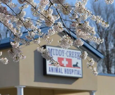Muddy Creek Animal Hospital