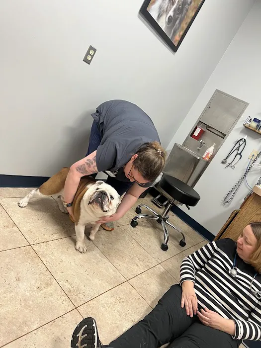 Muddy Creek Animal Hospital Picture 2