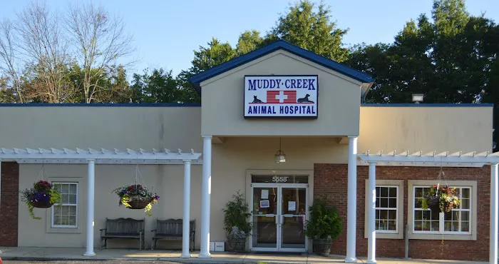 Muddy Creek Animal Hospital Picture 4