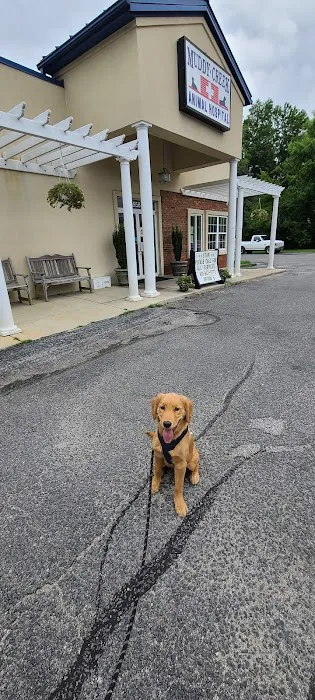 Muddy Creek Animal Hospital Picture 7