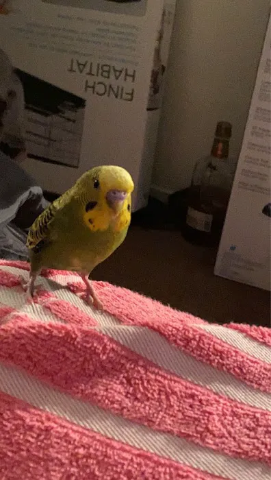 Petco Picture 2