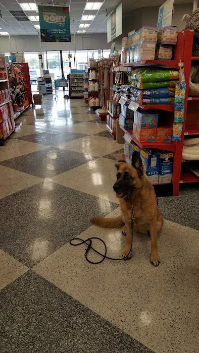 Petco Picture 6
