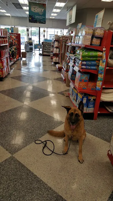 Petco Picture 9