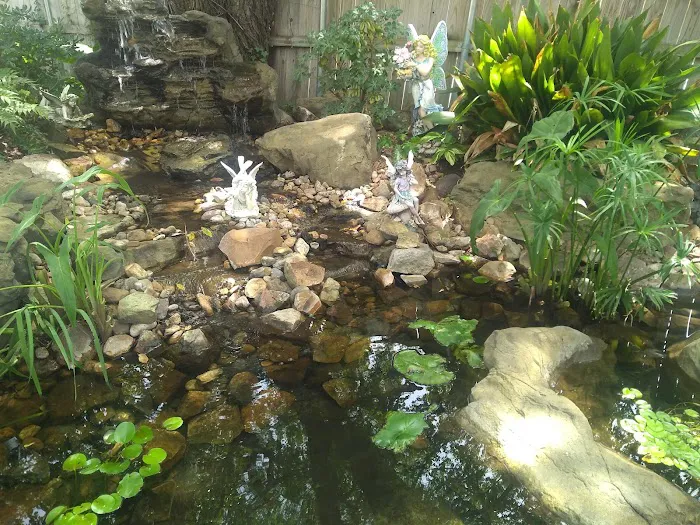 Eclipse Aquatics Picture 6