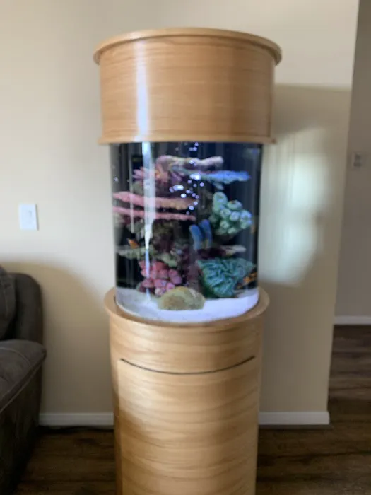 Eclipse Aquatics Picture 8