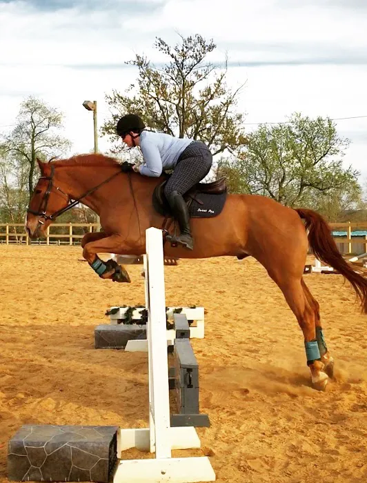 Wolf Creek Equine Picture 10