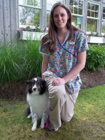 Highway Veterinary Hospital Picture 8