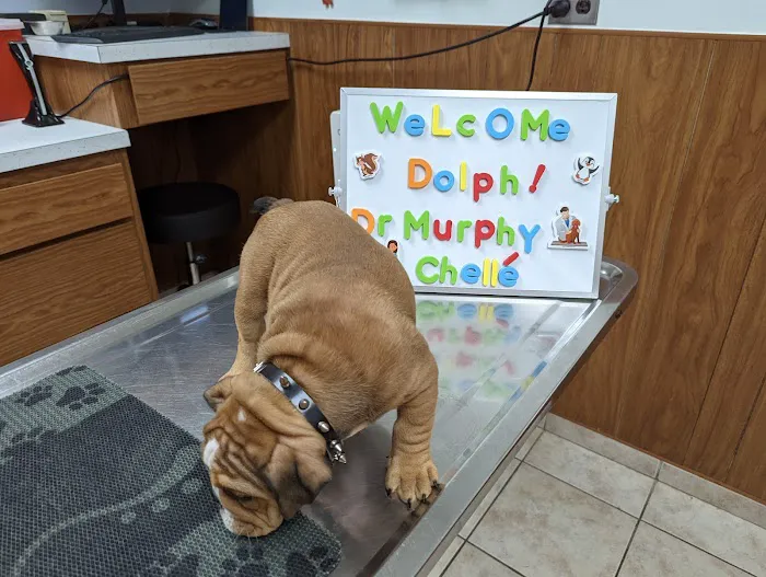Belair Veterinary Hospital Picture 1