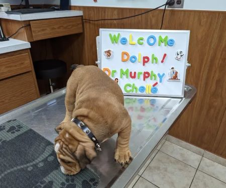 Belair Veterinary Hospital