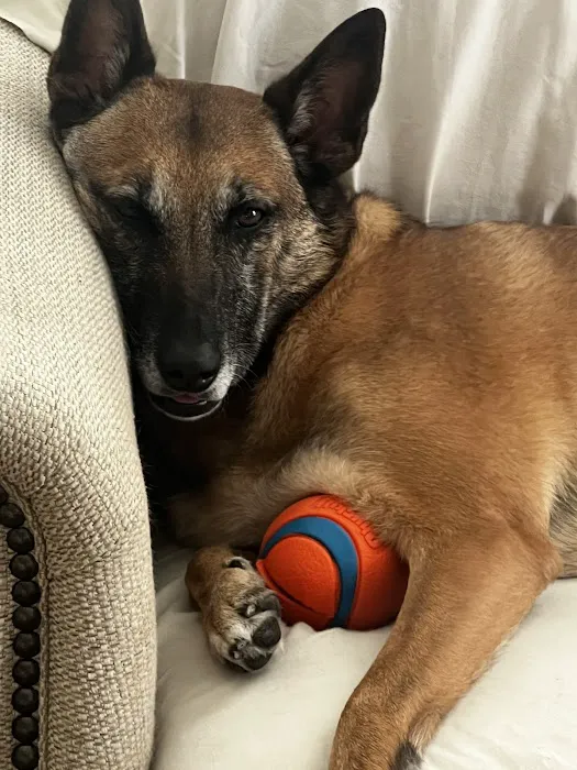 Belair Veterinary Hospital Picture 7