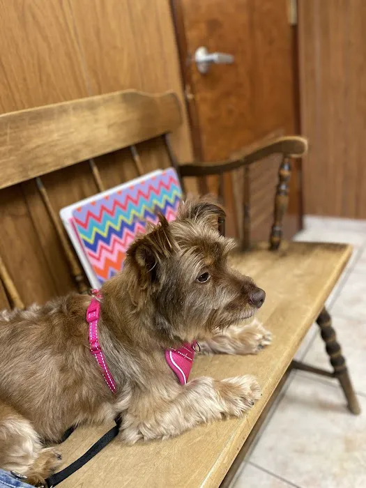 Belair Veterinary Hospital Picture 5