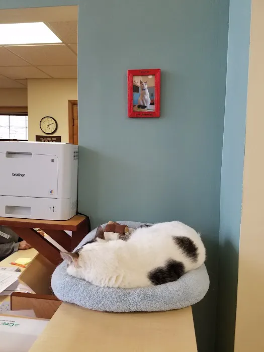 Belair Veterinary Hospital Picture 8