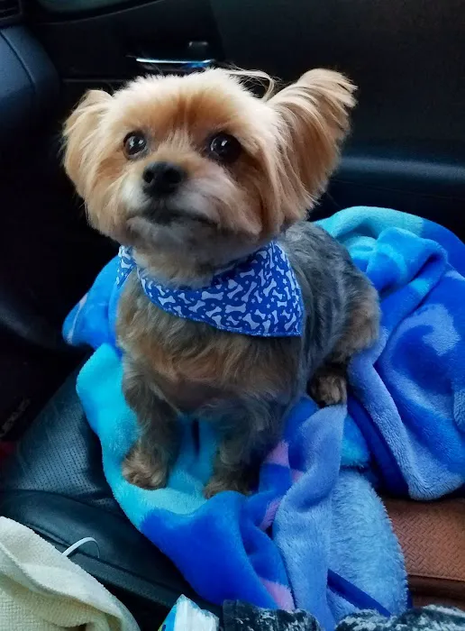 Belair Veterinary Hospital Picture 10