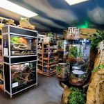 DFW Reptarium