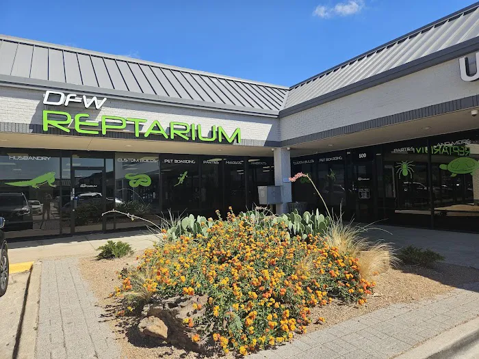 DFW Reptarium Picture 3