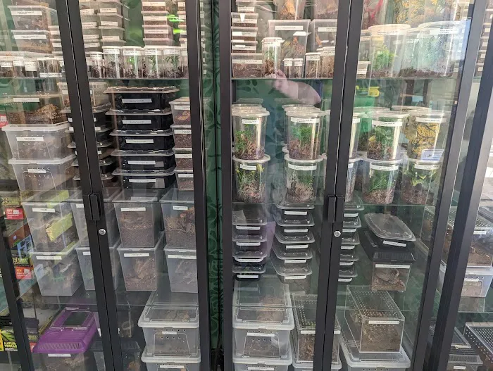 DFW Reptarium Picture 2