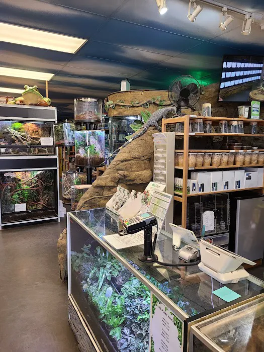 DFW Reptarium Picture 5