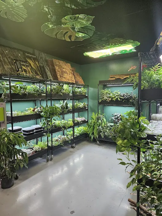 DFW Reptarium Picture 4