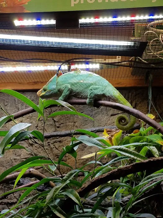 DFW Reptarium Picture 6