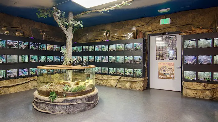 DFW Reptarium Picture 8