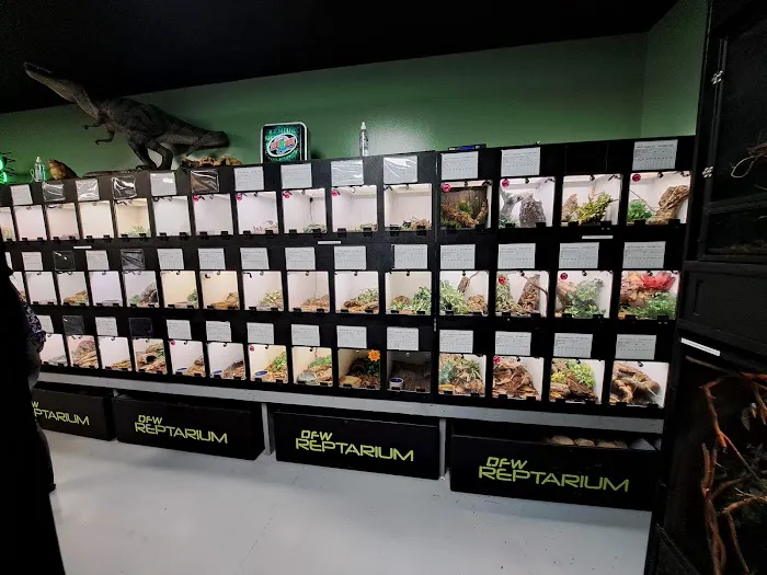 DFW Reptarium Picture 9