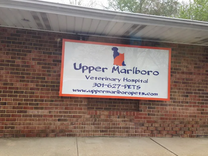 Upper Marlboro Veterinary Hospital Picture 2
