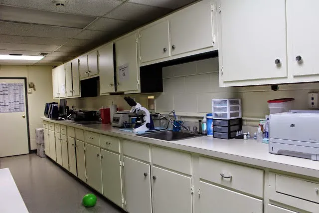 Upper Marlboro Veterinary Hospital Picture 6