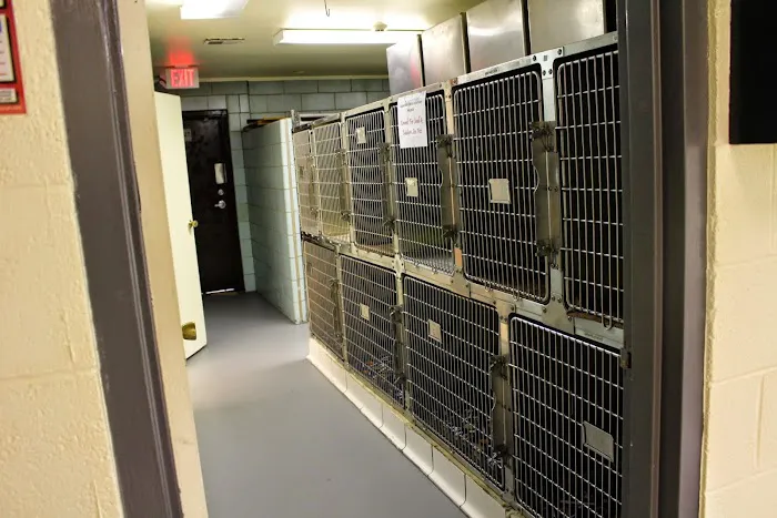 Upper Marlboro Veterinary Hospital Picture 9