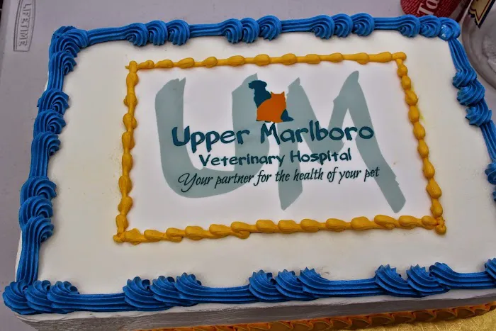 Upper Marlboro Veterinary Hospital Picture 10