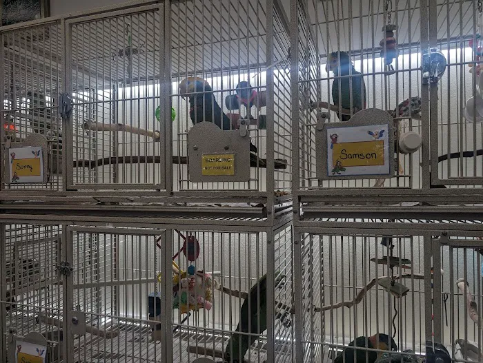 Birdiac's Bird Shop Picture 1