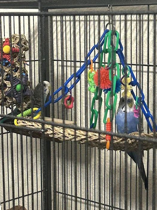 Birdiac's Bird Shop Picture 8