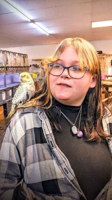 Birdiac's Bird Shop Picture 9