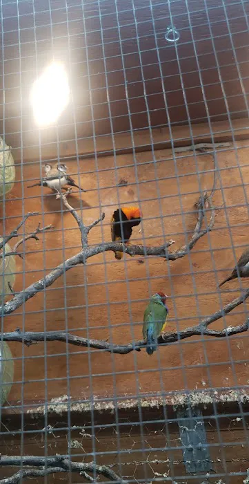 Birdiac's Bird Shop Picture 4