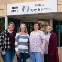 Bowie Spay & Neuter ico