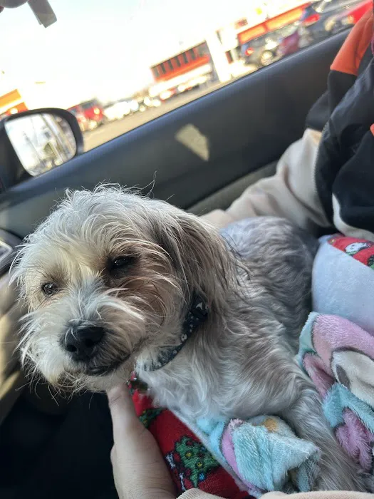 Bowie Spay & Neuter Picture 7