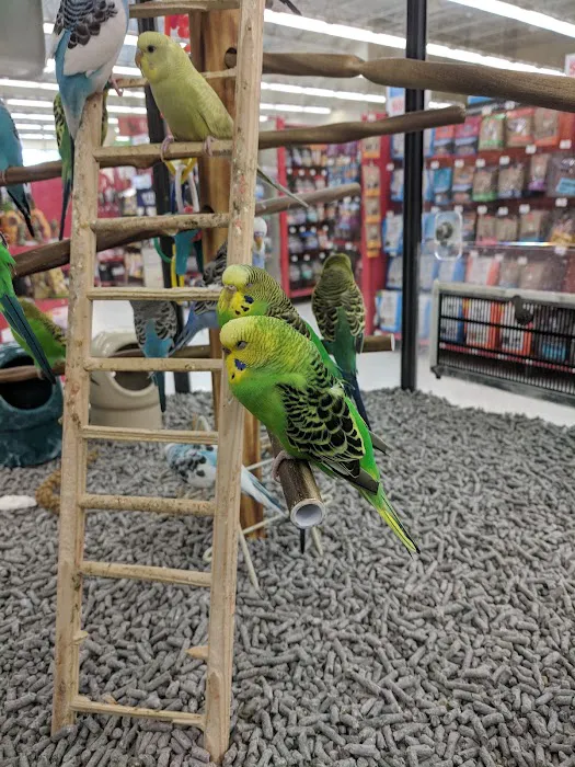 Petco Picture 8
