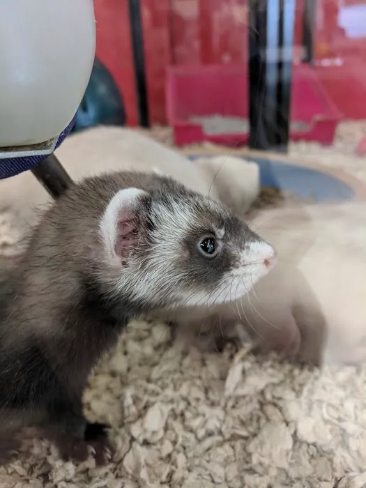 Petco Picture 10