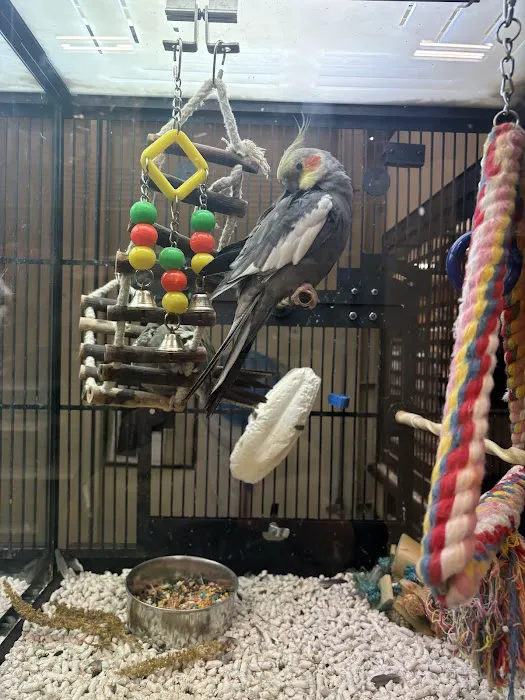 Banfield Pet Hospital Picture 1
