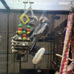 Banfield Pet Hospital