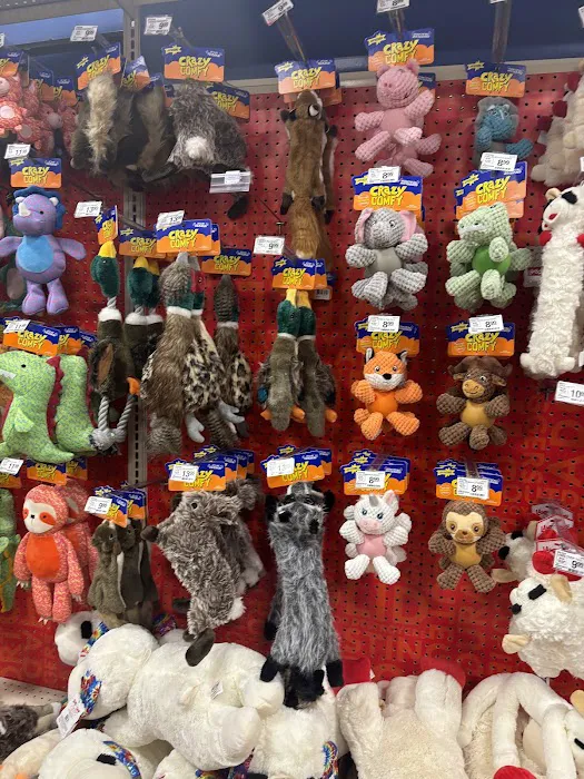 Banfield Pet Hospital Picture 5